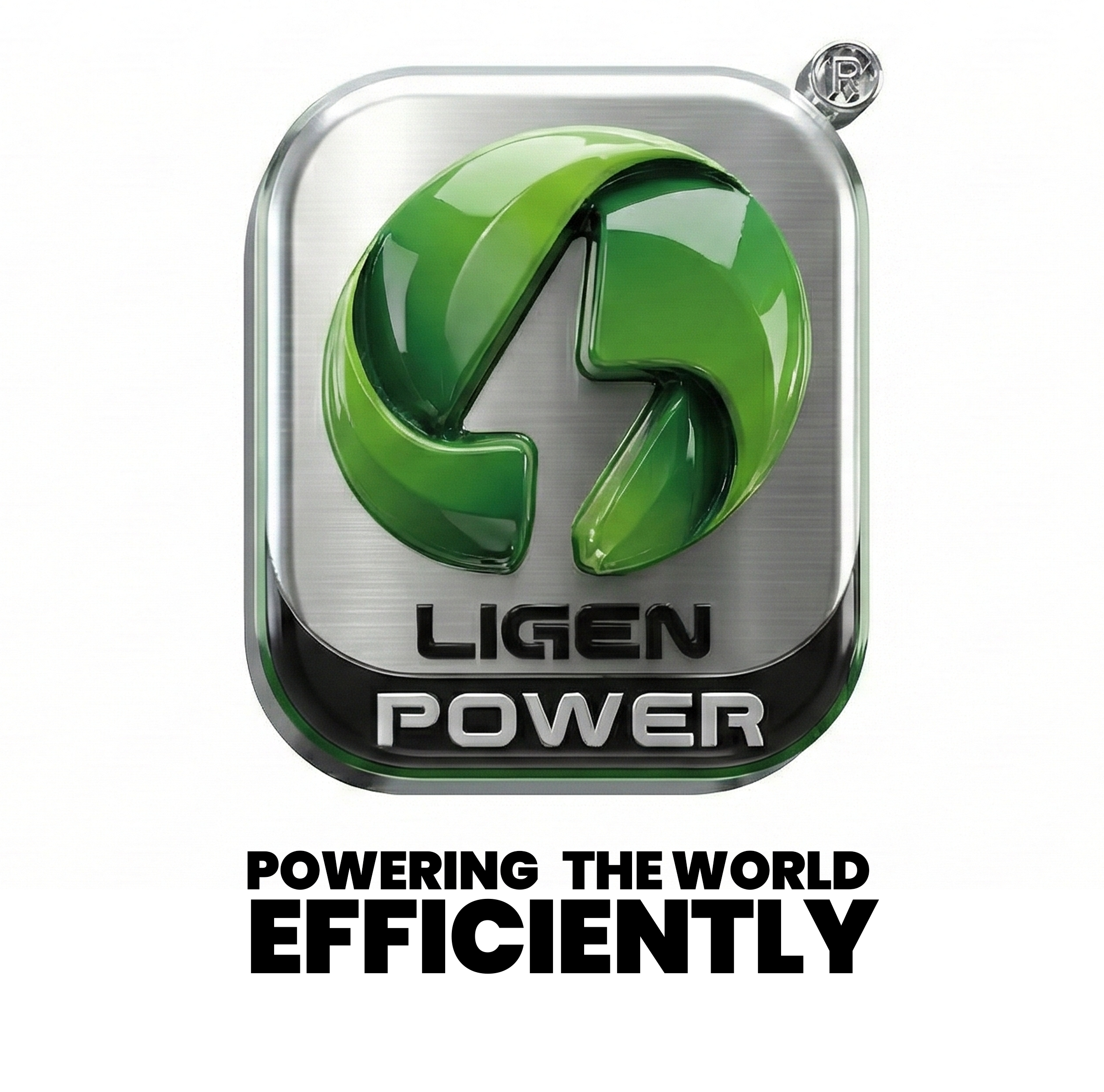 Ligen Power® Logo